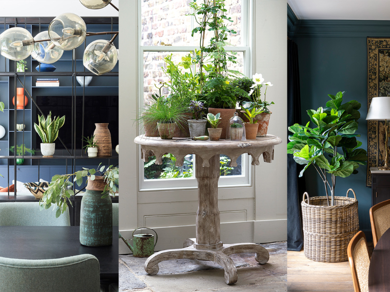 Use plants as natural dividers